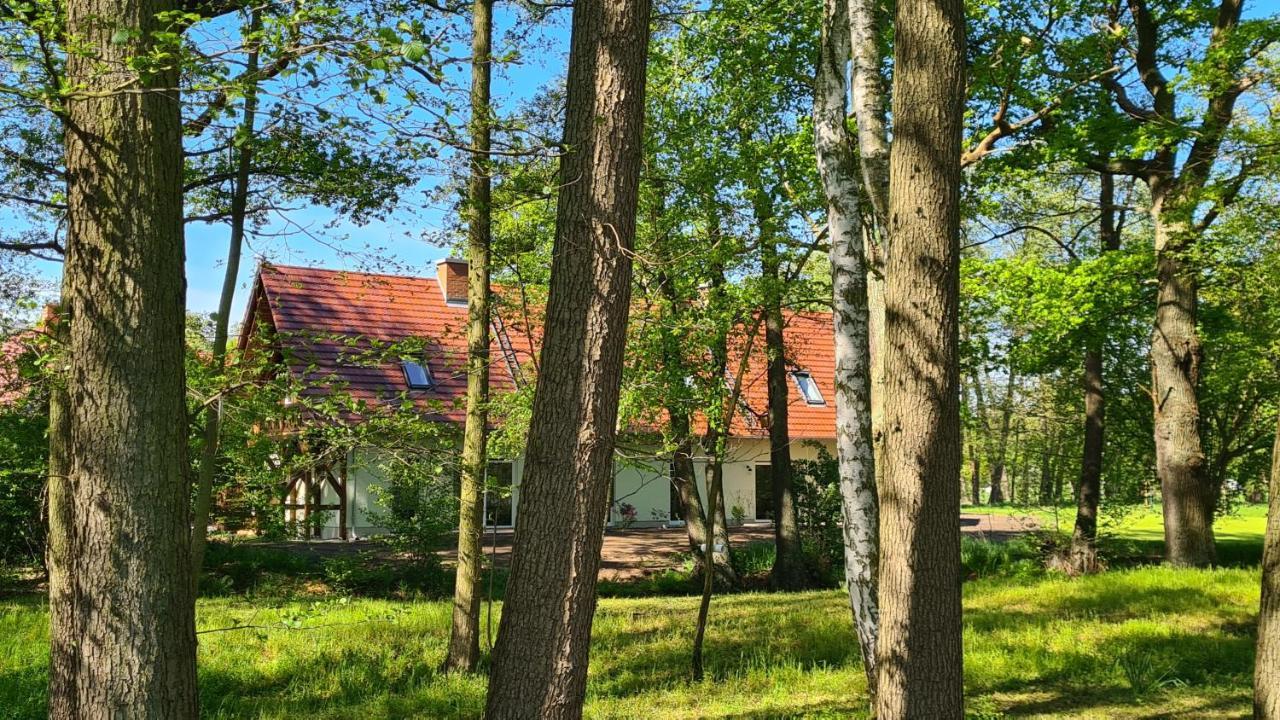 Vierseitenhof Appartements بورغ المظهر الخارجي الصورة