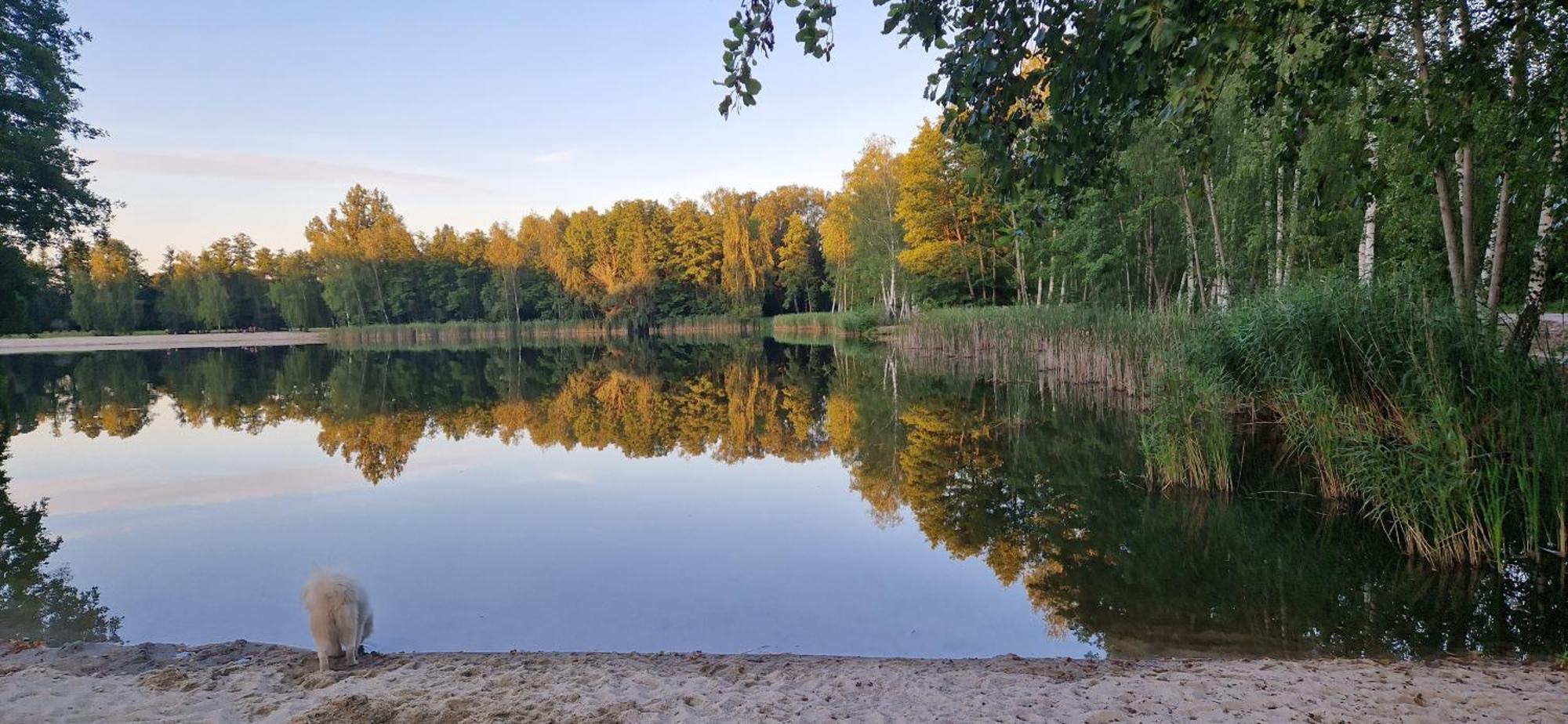 Vierseitenhof Appartements بورغ المظهر الخارجي الصورة